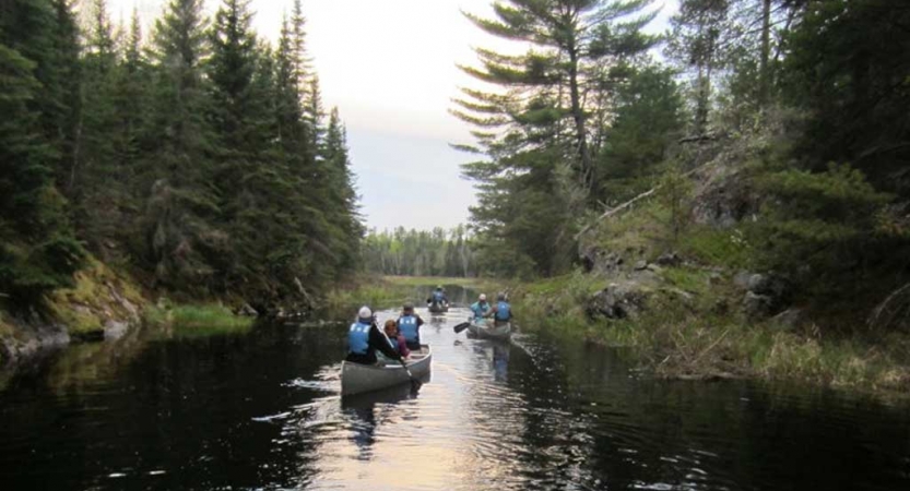People in canoes paddle them through a narrow passageway of water lined with trees. 
